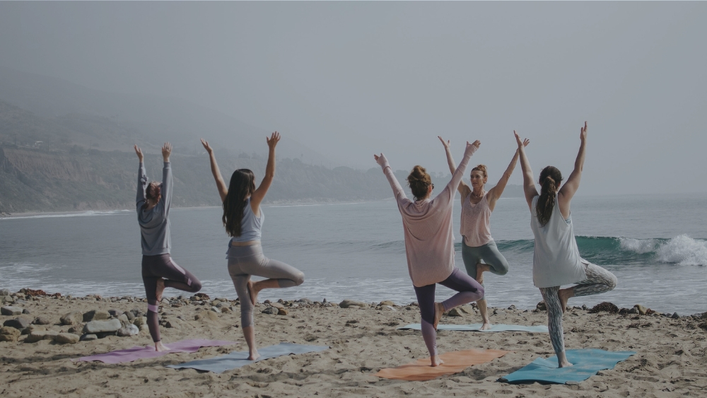 Employee wellness programs